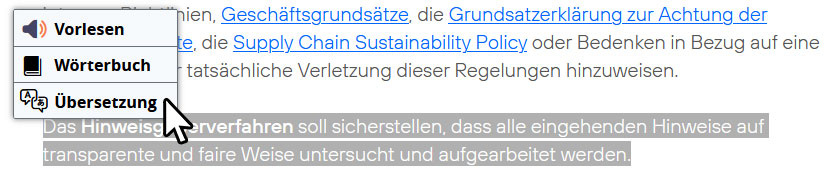 Screenshot Erklärung Übersetzungsfunktion